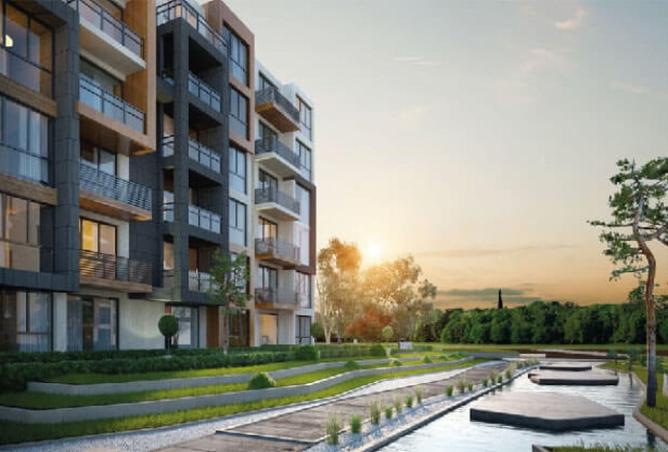 8423770 - صورة العقار 3