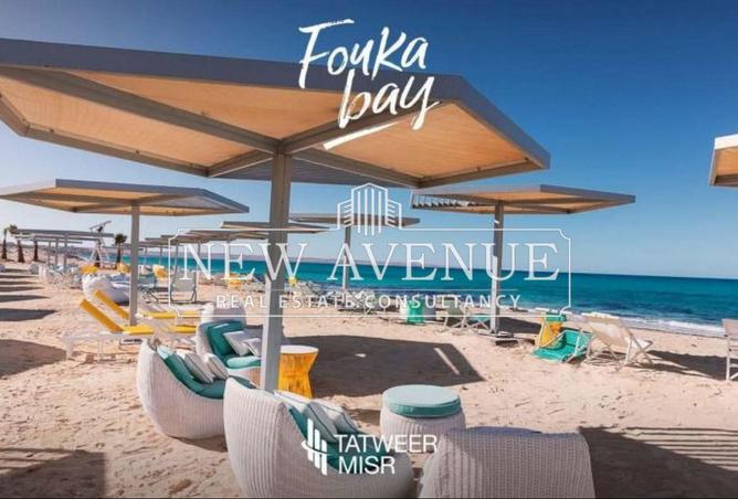 8169194 - صورة العقار 2