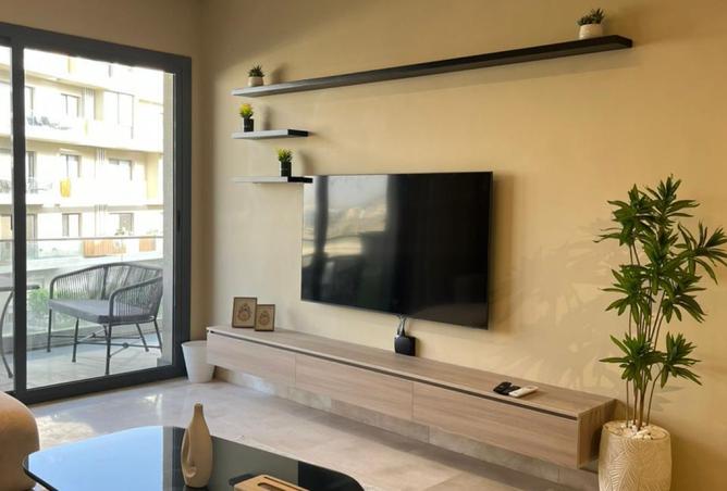 8096804 - Property Image 2