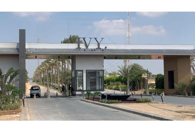 8423200 - Property Image 3