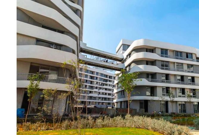 8157608 - Property Image 3