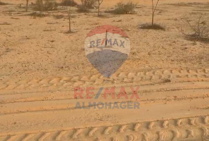 8061749 - الصورة الرئيسية للعقار