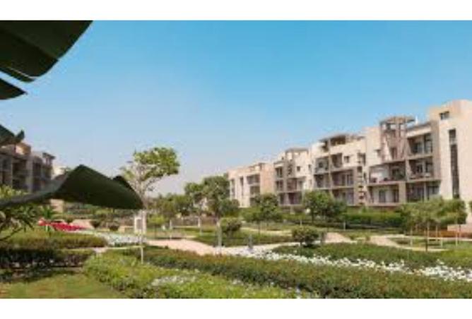 8408120 - Property Image 3