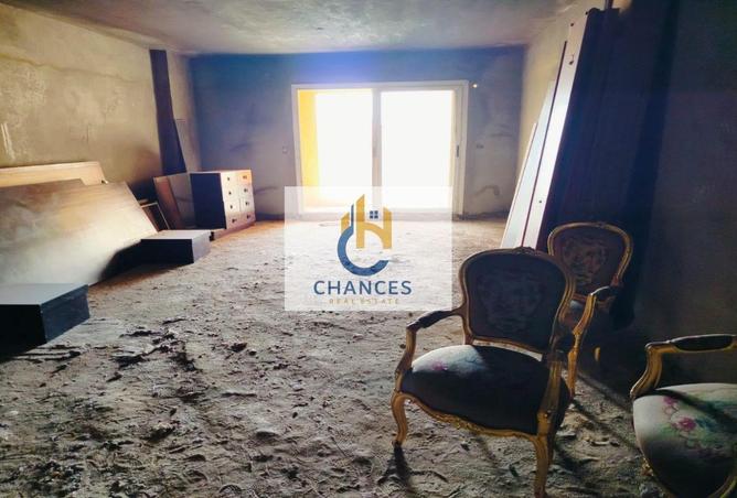 8334905 - Property Image 3