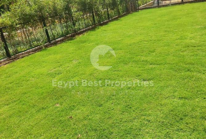 8361895 - صورة العقار 3