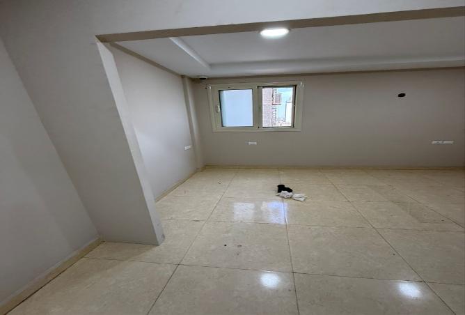 7900327 - Property Image 2
