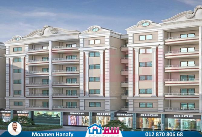 8049420 - Property Image 3