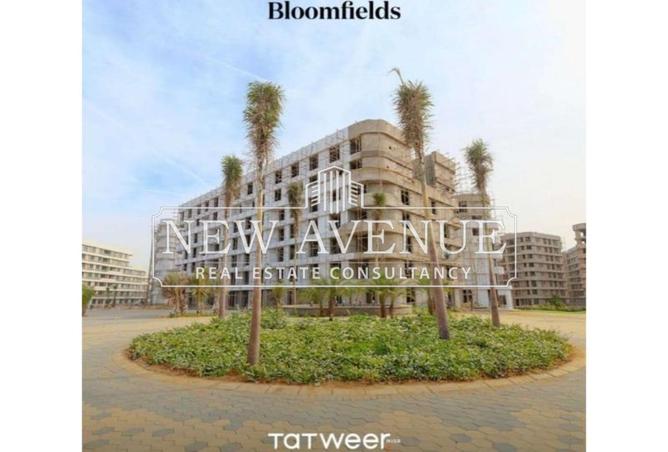 8239303 - صورة العقار 2