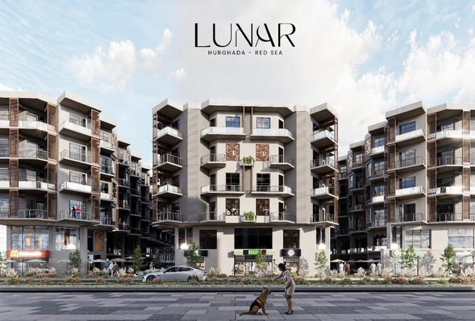 8259237 - صورة العقار 3