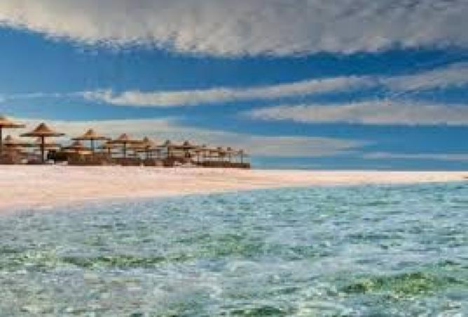 7963820 - صورة العقار 2
