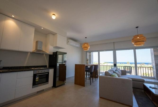 7899726 - Property Image 3