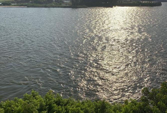 7907918 - صورة العقار 2