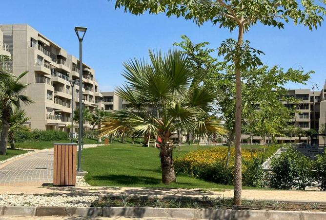 8380260 - Property Image 2