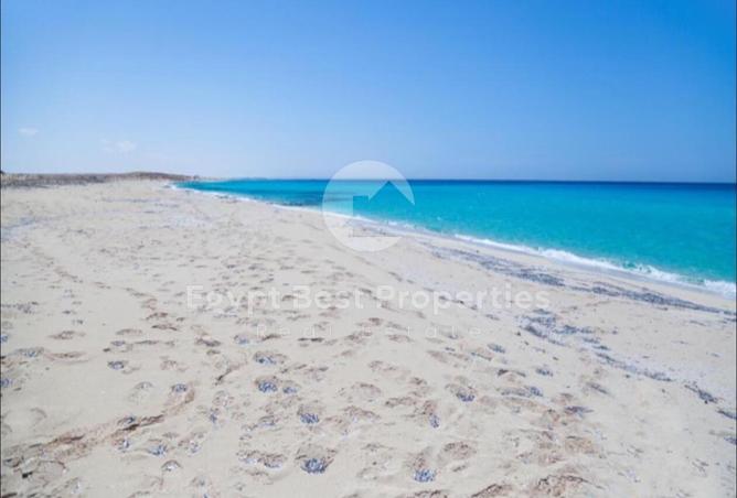 7891694 - Property Image 3