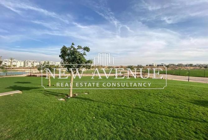 8130109 - Property Image 2