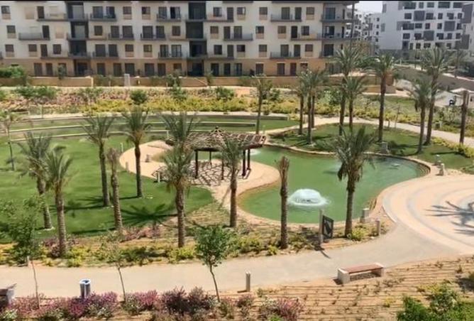 8341592 - Property Image 2