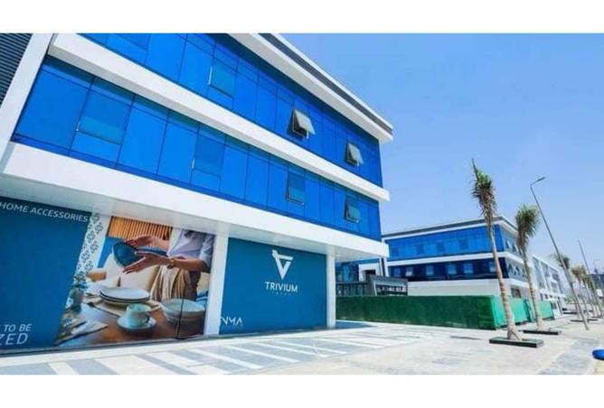 8033528 - Property Image 3