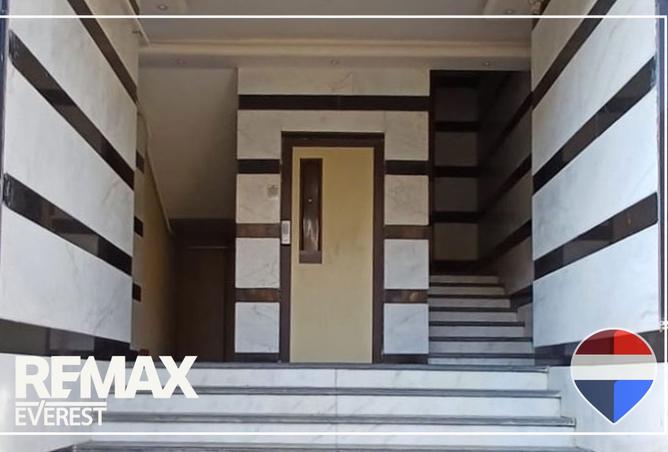 8452374 - Property Image 3