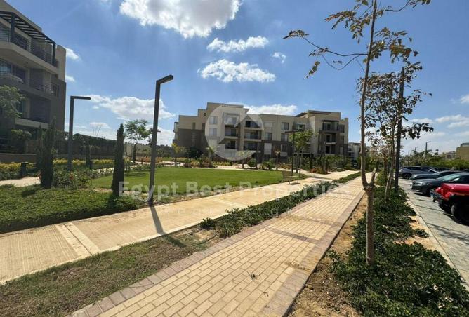 8197028 - Property Image 3