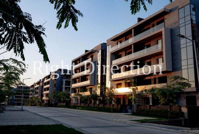 8207918 - Property Image 3