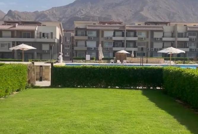 8446075 - Property Image 2