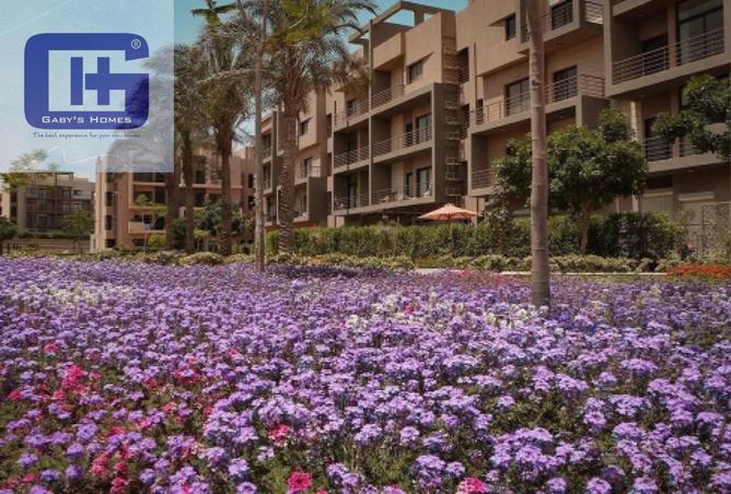 8490648 - صورة العقار 2