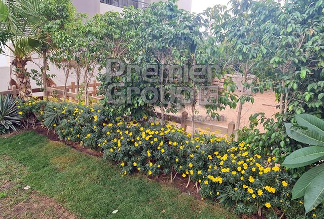 8438663 - Property Image 3