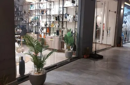 مطعم - استوديو للبيع في محور جمال عبد الناصر - التجمع الثالث - مدينة القاهرة الجديدة - القاهرة