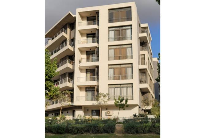 8547699 - Property Image 3