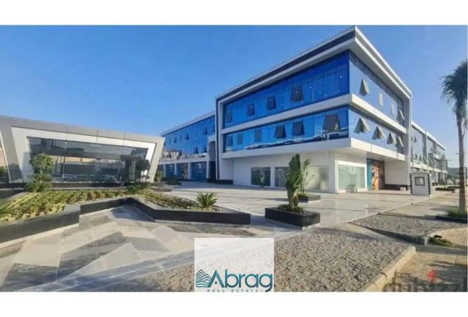 8381010 - صورة العقار 2