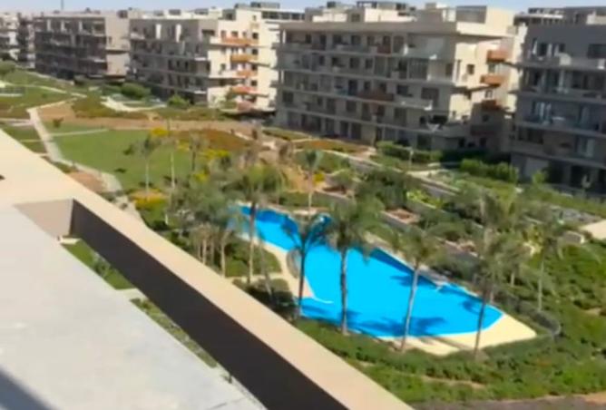 8172007 - Property Image 3