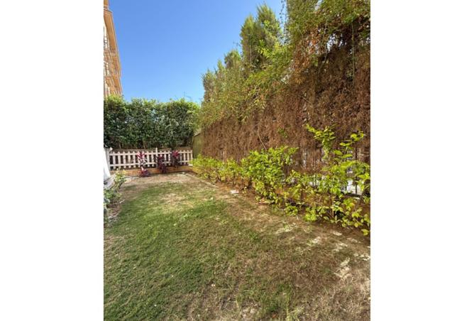 8114970 - Property Image 3
