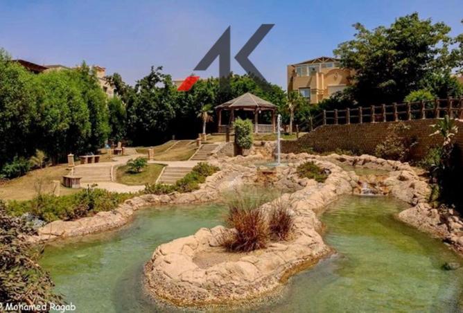 8404979 - صورة العقار 3