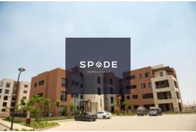 8200366 - صورة العقار 3