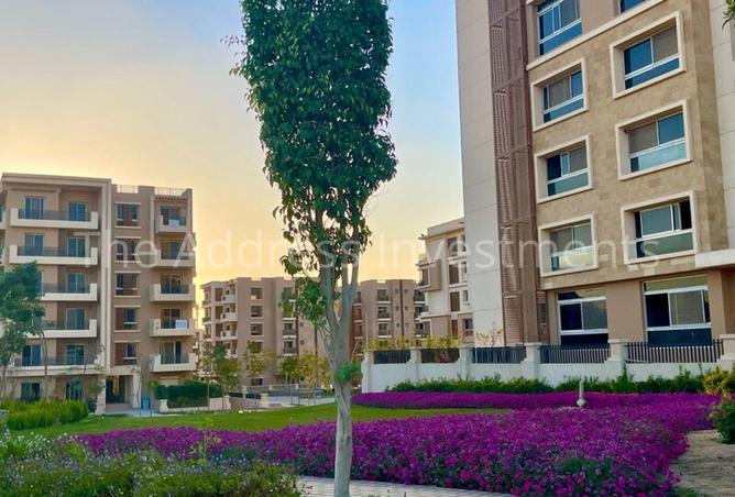 7887412 - Property Image 3