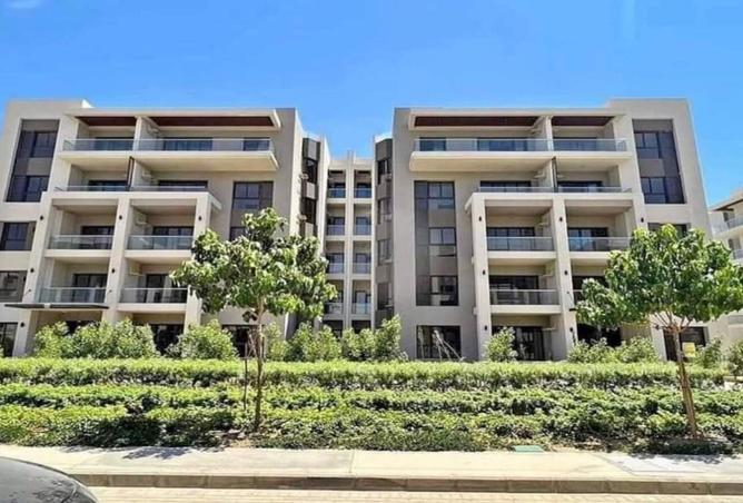 8346653 - Property Image 3