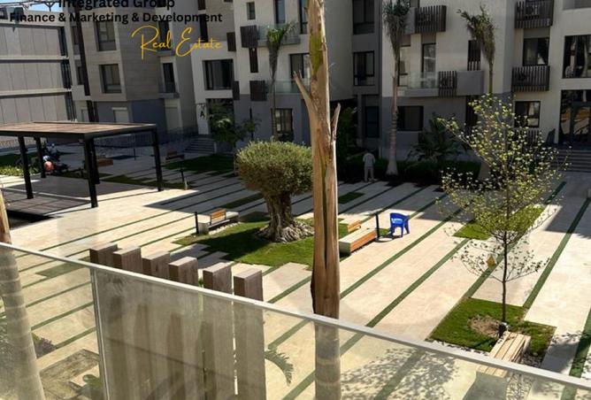 8137869 - Property Image 3