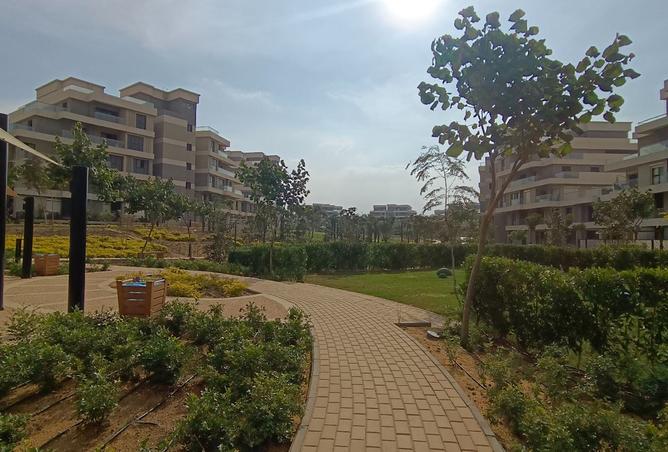 8342512 - Property Image 3