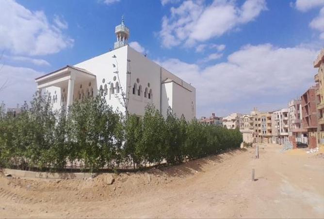 7967130 - صورة العقار 3