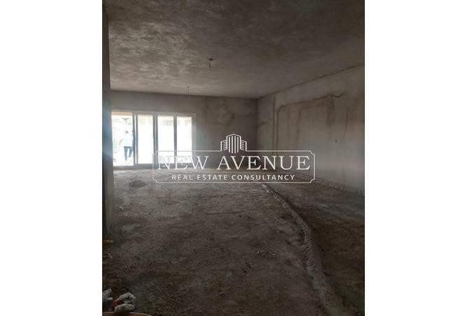 8236783 - Property Image 3