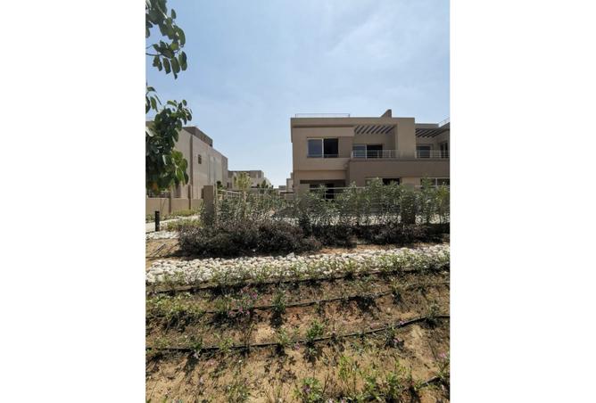 8115432 - صورة العقار 3