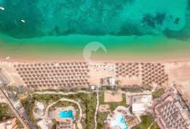 8397800 - صورة العقار 3