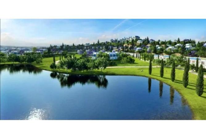 8174609 - صورة العقار 3