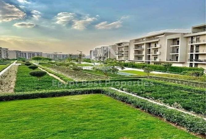 7940435 - Property Image 3