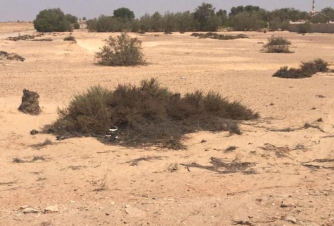 8077717 - صورة العقار 2