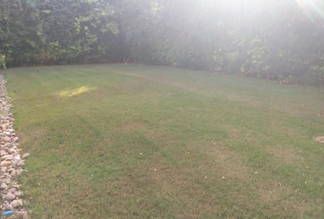 8497784 - Property Image 2