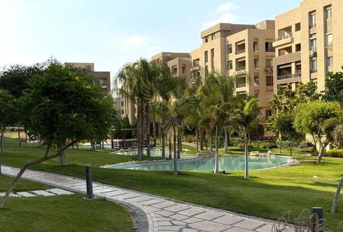 8080061 - صورة العقار 3