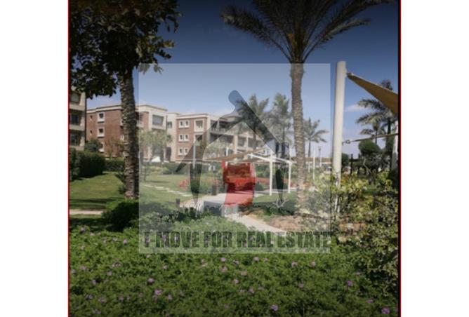 8415300 - صورة العقار 3