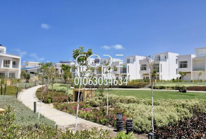 8206823 - Property Image 3