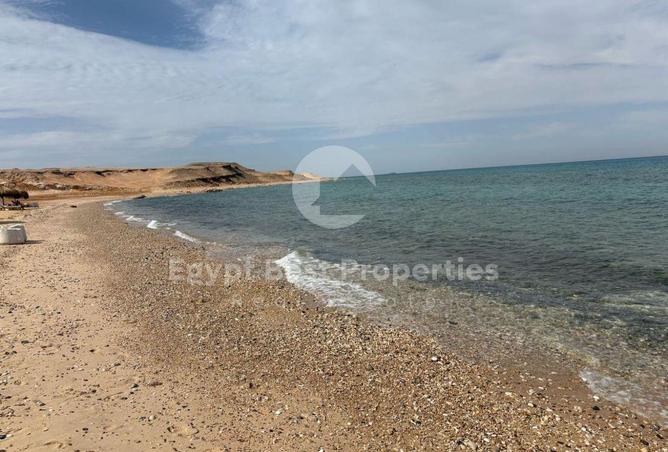 8476368 - صورة العقار 2